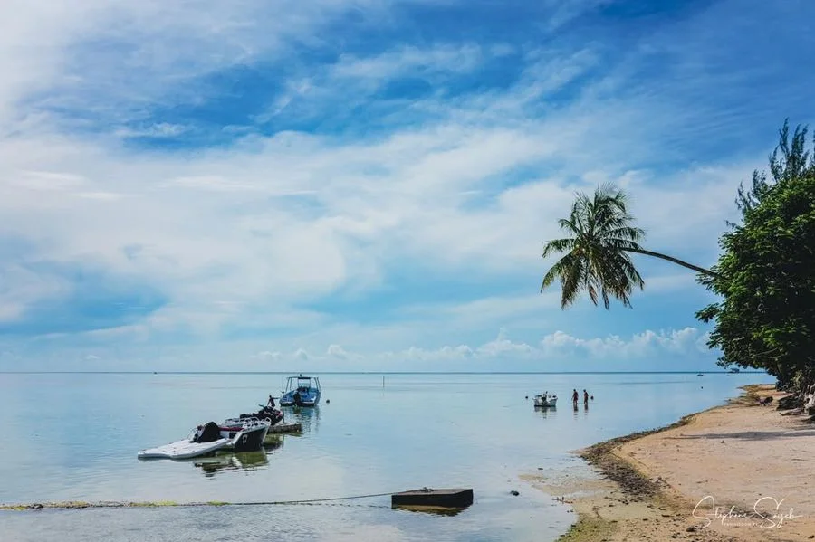 Ce matin, le cœur battant au rythme de l’océan, je - Photo 3