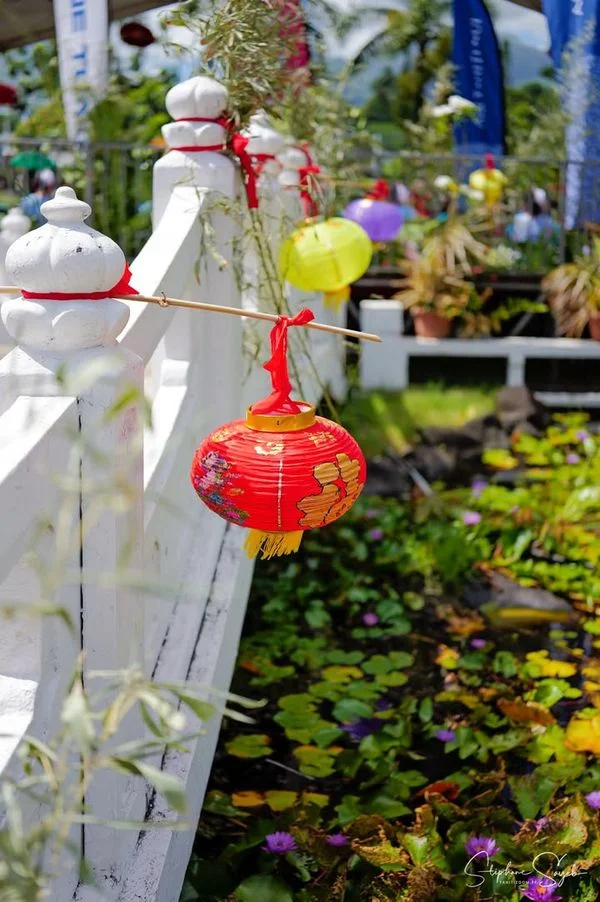 Ce dimanche 22 février, sous un soleil généreux qu - Photo 6