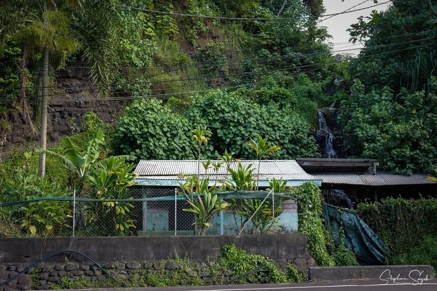 De Faa’a jusqu’aux rivages sauvages de Papenoo, la - Photo 5