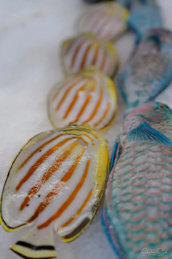 Oui, je sais, cela fait quelques jours que mes pub - 6