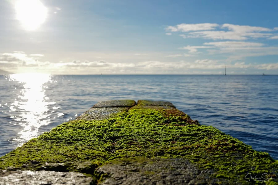 Tombeau du Roi. Un coin simple, vrai. L’eau calme, - 8