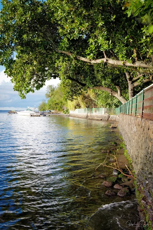Tombeau du Roi. Un coin simple, vrai. L’eau calme, - 10